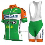 2018 Abbigliamento Ciclismo Bardiani Csf Verde e Bianco Manica Corta e Salopette